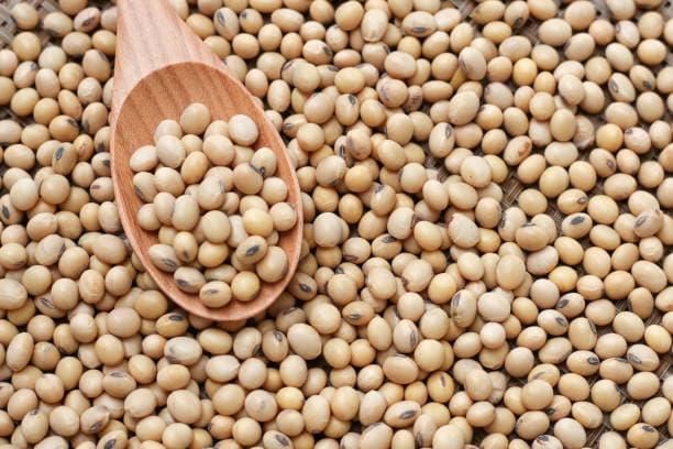 Frijoles de Soya